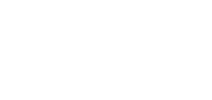 Techies in Town IT Solutions LLC